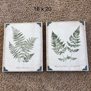 Canvas Green Fern Picture Prints Art, Frameless 16x20
